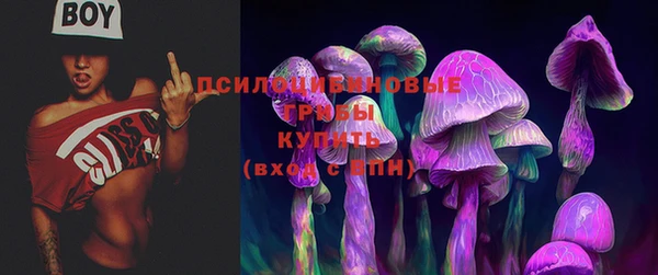 PSILOCYBIN Белоозёрский